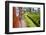 Train Journey Through Tea Plantations-Matthew Williams-Ellis-Framed Photographic Print