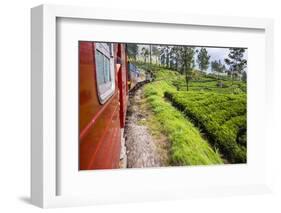 Train Journey Through Tea Plantations-Matthew Williams-Ellis-Framed Photographic Print