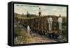 Train Load of Sugar Cane Leaving the Field, Cuba, 1915-null-Framed Stretched Canvas