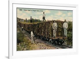 Train Load of Sugar Cane Leaving the Field, Cuba, 1915-null-Framed Giclee Print