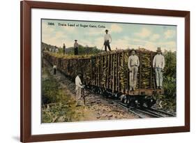 Train Load of Sugar Cane Leaving the Field, Cuba, 1915-null-Framed Giclee Print