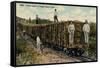 Train Load of Sugar Cane Leaving the Field, Cuba, 1915-null-Framed Stretched Canvas