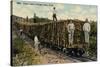 Train Load of Sugar Cane Leaving the Field, Cuba, 1915-null-Stretched Canvas