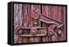 Train Lock-Kathy Mahan-Framed Stretched Canvas