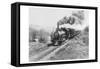 Train of the Northern Pacific Railway Co.-null-Framed Stretched Canvas