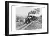 Train of the Northern Pacific Railway Co.-null-Framed Art Print