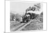 Train of the Northern Pacific Railway Co.-null-Mounted Art Print