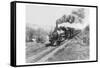 Train of the Northern Pacific Railway Co.-null-Framed Stretched Canvas