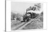 Train of the Northern Pacific Railway Co.-null-Stretched Canvas