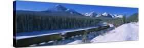 Train on a Railroad Track, Banff National Park, Alberta, Canada-null-Stretched Canvas