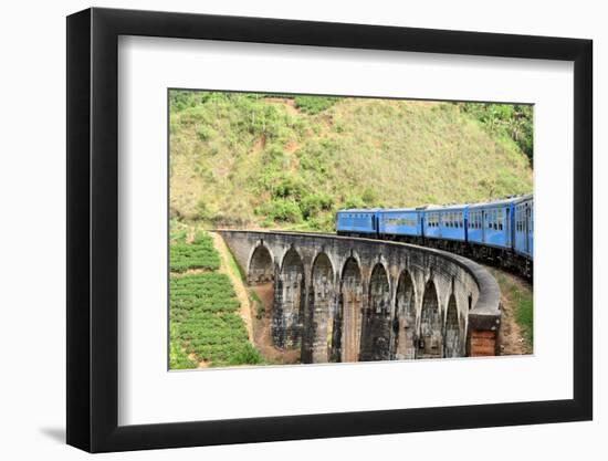 Train on Bridge in Hill Country of Sri Lanka-flocu-Framed Photographic Print