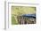 Train on Bridge in Hill Country of Sri Lanka-flocu-Framed Photographic Print