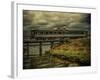 Train on Bridge-Florian Raymann-Framed Photographic Print