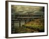 Train on Bridge-Florian Raymann-Framed Photographic Print