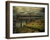 Train on Bridge-Florian Raymann-Framed Photographic Print