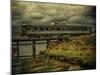 Train on Bridge-Florian Raymann-Mounted Photographic Print