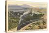 Train on Coast Range Tracks-null-Stretched Canvas