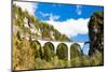 Train on Rhaetian Railway, Landwasserviadukt, Canton Graubunden, Switzerland-phbcz-Mounted Photographic Print