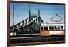 Train on Seven Bridges Budapest Hungary-null-Framed Photo