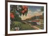 Train- Orange Blossom Special - Florida-Lantern Press-Framed Art Print