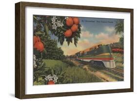 Train- Orange Blossom Special - Florida-Lantern Press-Framed Art Print