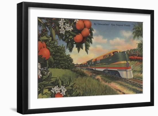 Train- Orange Blossom Special - Florida-Lantern Press-Framed Art Print