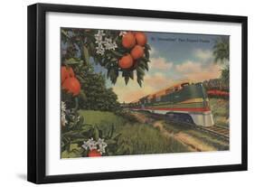 Train- Orange Blossom Special - Florida-Lantern Press-Framed Art Print