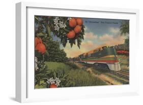 Train- Orange Blossom Special - Florida-Lantern Press-Framed Art Print