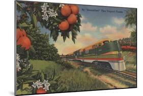 Train- Orange Blossom Special - Florida-Lantern Press-Mounted Art Print