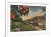 Train- Orange Blossom Special - Florida-Lantern Press-Framed Premium Giclee Print