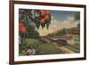 Train- Orange Blossom Special - Florida-Lantern Press-Framed Premium Giclee Print