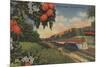 Train- Orange Blossom Special - Florida-Lantern Press-Mounted Premium Giclee Print