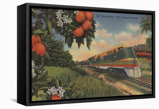 Train- Orange Blossom Special - Florida-Lantern Press-Framed Stretched Canvas