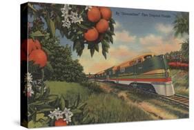 Train- Orange Blossom Special - Florida-Lantern Press-Stretched Canvas