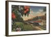 Train- Orange Blossom Special - Florida-Lantern Press-Framed Art Print