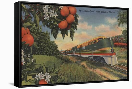 Train- Orange Blossom Special - Florida-Lantern Press-Framed Stretched Canvas