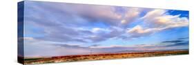 Train passing through a desert, New Mexico, USA-null-Stretched Canvas