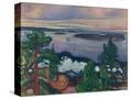 Stretched Canvas