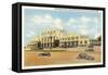 Train Station, Houston, Texas-null-Framed Stretched Canvas