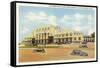 Train Station, Houston, Texas-null-Framed Stretched Canvas