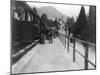Train Station in Menaggio Italy Photograph - Menaggio, Italy-Lantern Press-Mounted Art Print