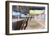 Train Station, Roma Tiburtina, Rome, Lazio, Italy, Europe-Vincenzo Lombardo-Framed Photographic Print