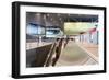 Train Station, Roma Tiburtina, Rome, Lazio, Italy, Europe-Vincenzo Lombardo-Framed Photographic Print