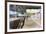 Train Station, Roma Tiburtina, Rome, Lazio, Italy, Europe-Vincenzo Lombardo-Framed Photographic Print