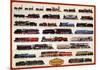 Train Steam Locomotives-null-Mounted Poster