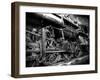 Train Strain-Stephen Arens-Framed Photographic Print