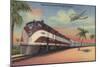 Train- Streamlining through Florida - Florida-Lantern Press-Mounted Art Print