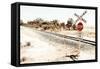 Train Track in Remote Landscape-Will Wilkinson-Framed Stretched Canvas