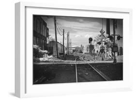 Train Tracks Greenpoint Brooklyn, Ny-null-Framed Photo