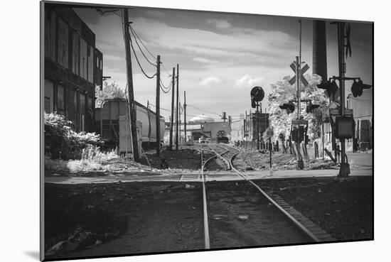 Train Tracks Greenpoint Brooklyn, Ny-null-Mounted Photo
